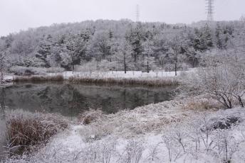 매룡지의 겨울 이미지