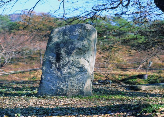 여주 석우리 선돌(驪州 石隅里 선돌)