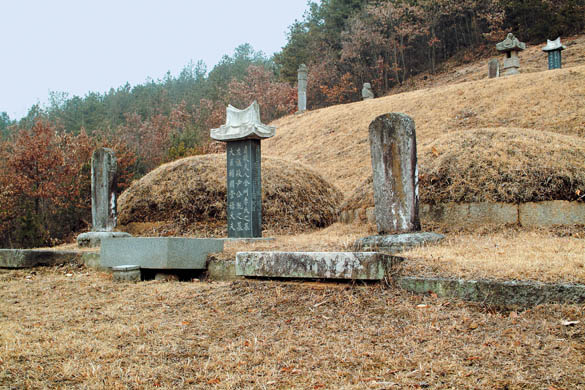 파평 윤씨 윤개 묘 전경 이미지