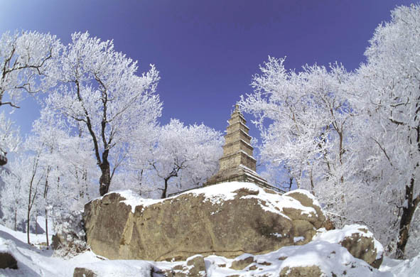 신륵사 경내의 동대탑 이미지