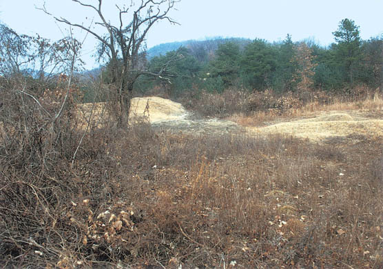 상교리 조선백자요지 전경 이미지