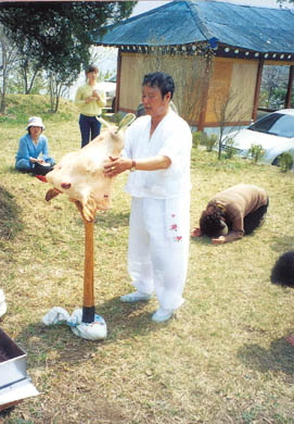 군웅 사슬세우기 이미지