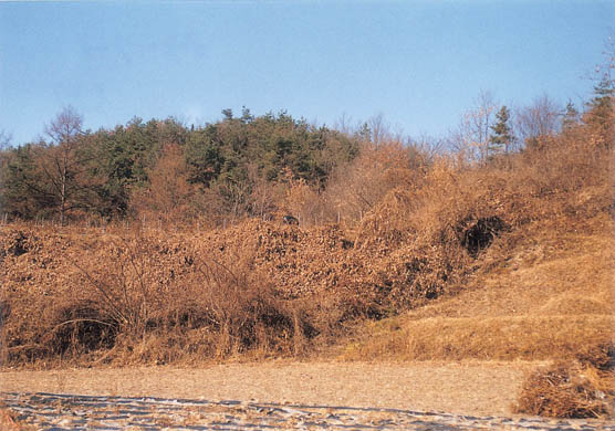 도전리 고려청자요지 전경 이미지