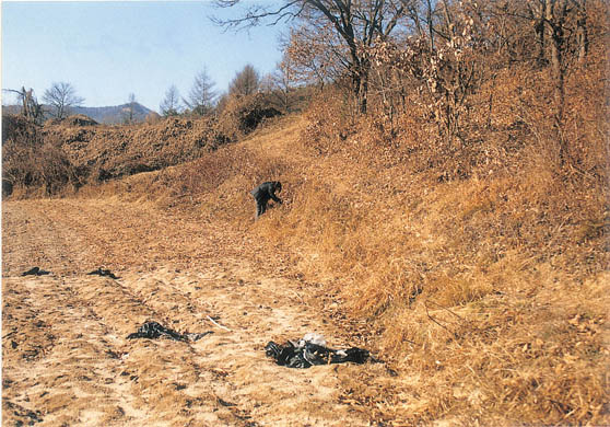 도전리 고려백자요지 전경 이미지