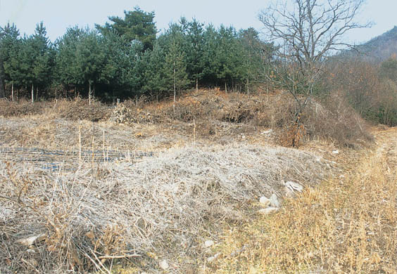 상교리 조선백자요지 전경 이미지