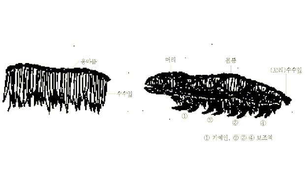 거북놀이에 사용되는 거북이 모형도 이미지