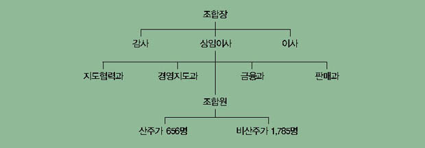 조직표 이미지